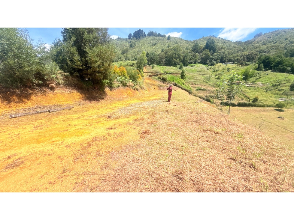 LOTE EN VENTA 10.000M2 EN LA MOSQUITA - CERCA AL AEROPUERTO JMC — foto 3