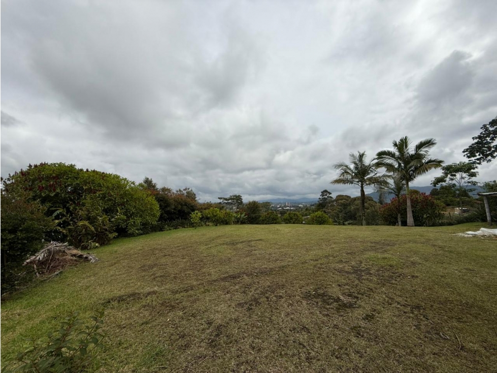LOTE EN VENTA EN EL CARMEN DE VIBORAL - VÍA EL CANADÁ AL CARMEN — foto 4