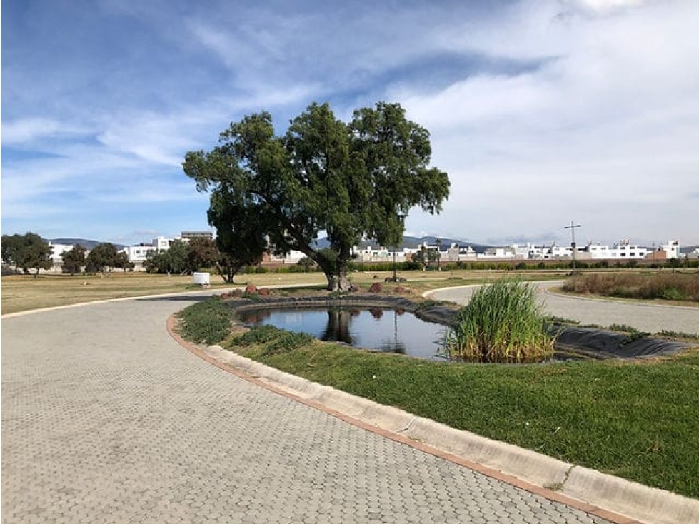 Terreno en Zona Plateada Pachuca — foto 6
