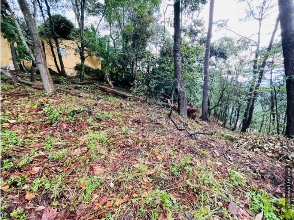 Terreno Avandaro. — foto 3