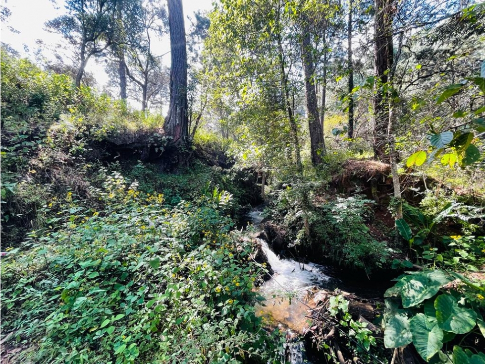 Terreno Velo de Novia Avándaro — foto 3