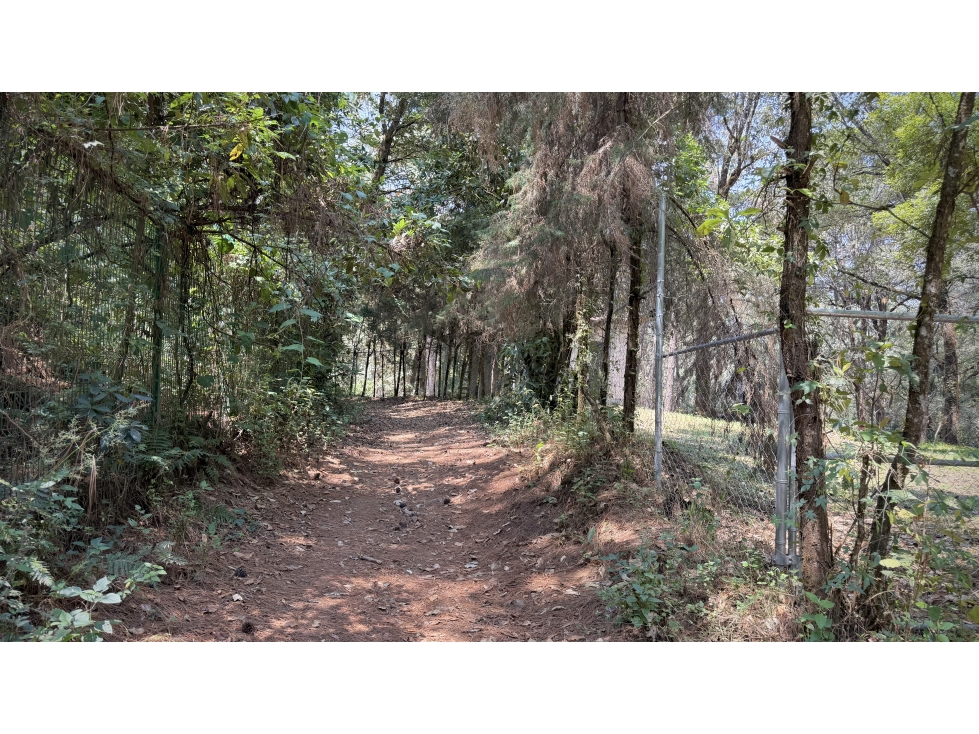 Terreno Peña Blanca, en venta con entorno boscoso. — foto 4