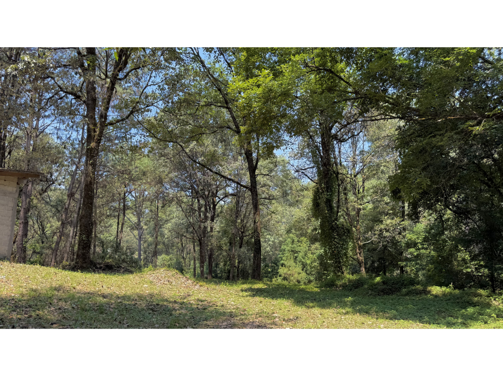 Terreno Peña Blanca, en venta con entorno boscoso.