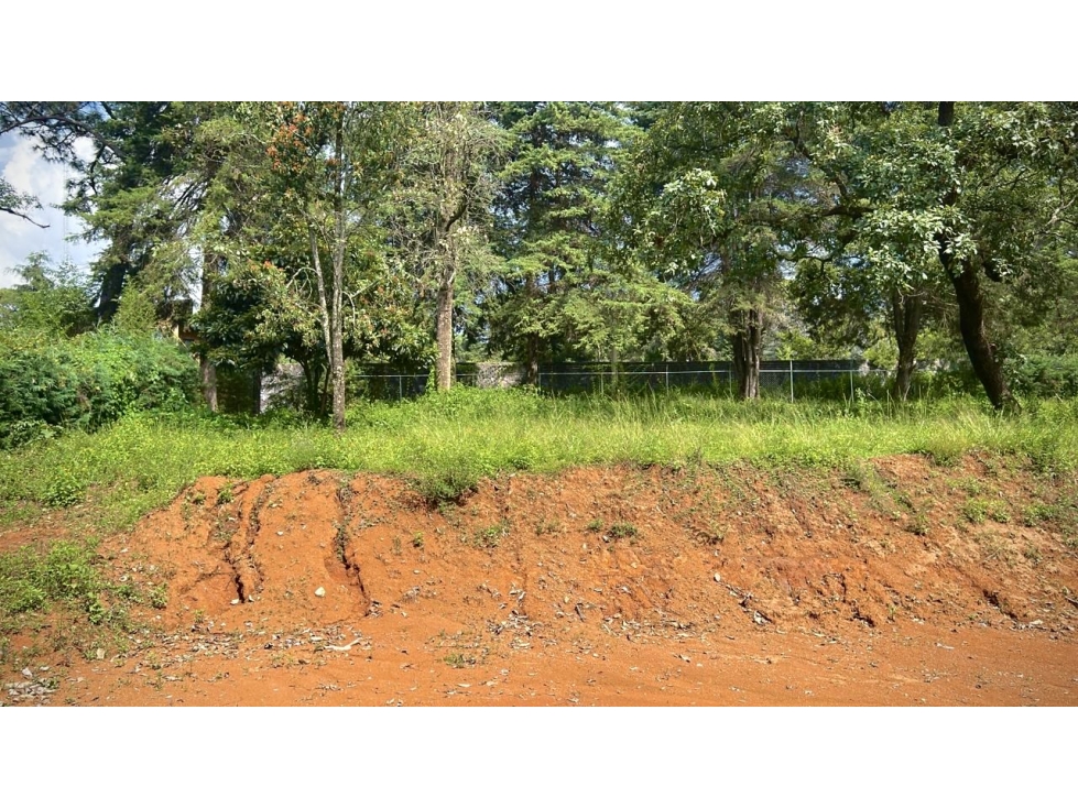 Terreno plano | Venta | Pinal de Avándaro. - 5