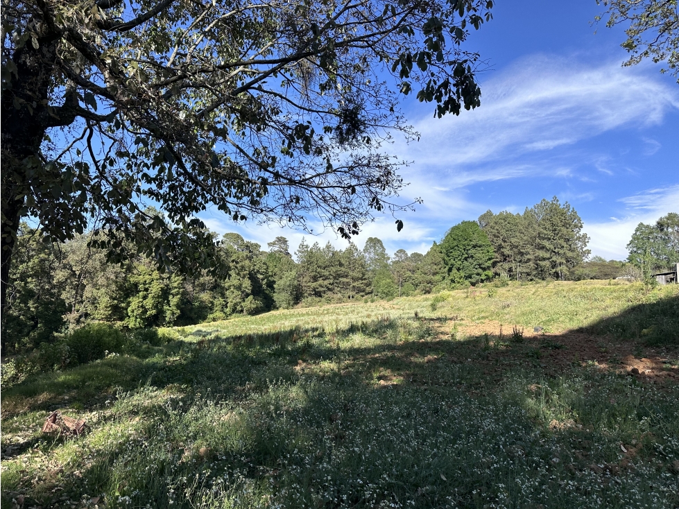 Terreno San Ramon 7 Hectareas — foto 2