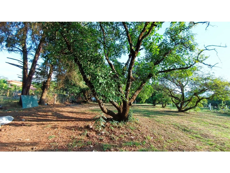 Terreno Casas Viejas Valle de Bravo — foto 4