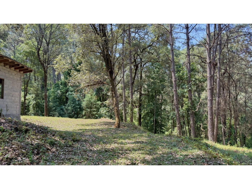 Terreno Peña Blanca, en venta con entorno boscoso. — foto 2