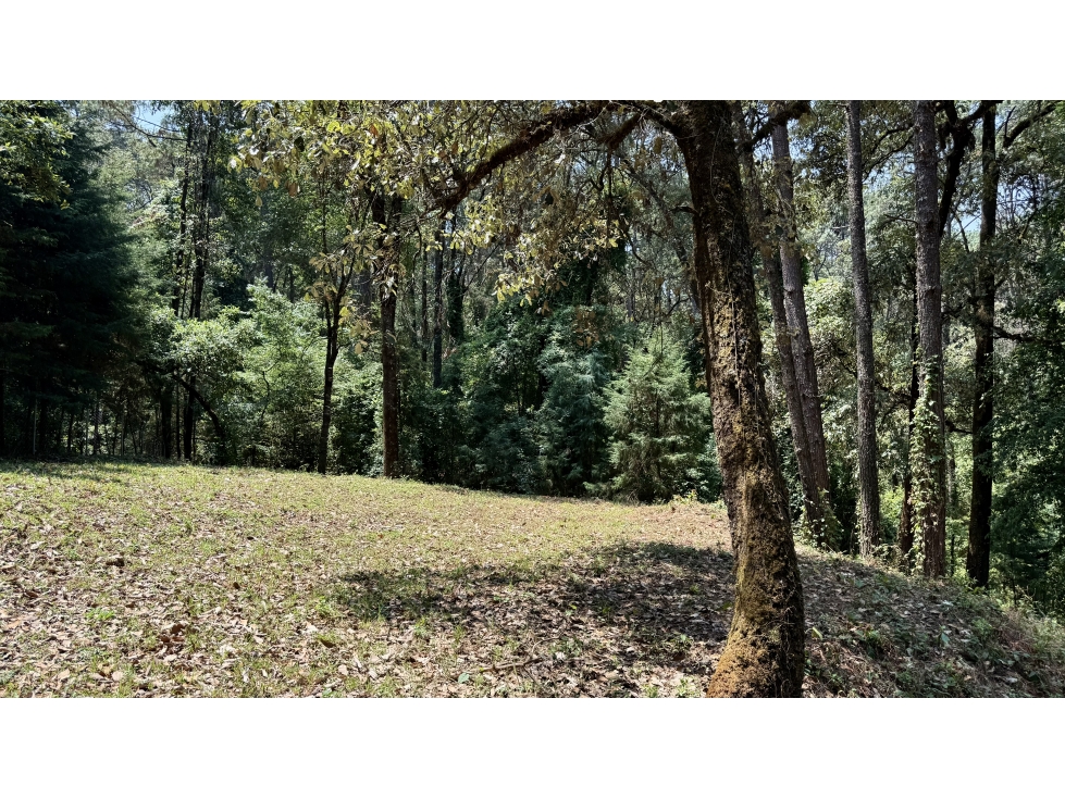 Terreno Peña Blanca, en venta con entorno boscoso. — foto 5