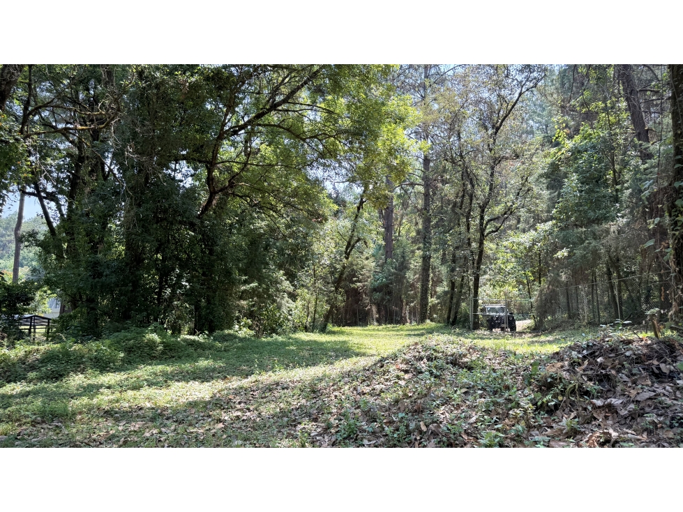 Terreno Peña Blanca, en venta con entorno boscoso. — foto 6