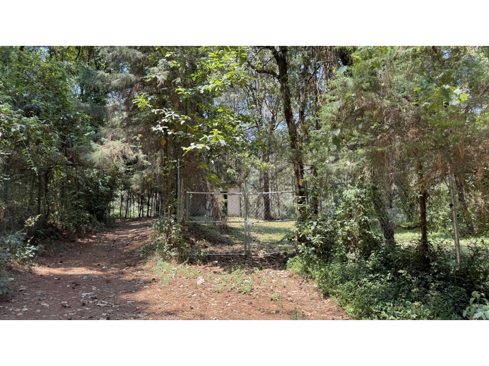 Terreno Peña Blanca, en venta con entorno boscoso. — foto 3