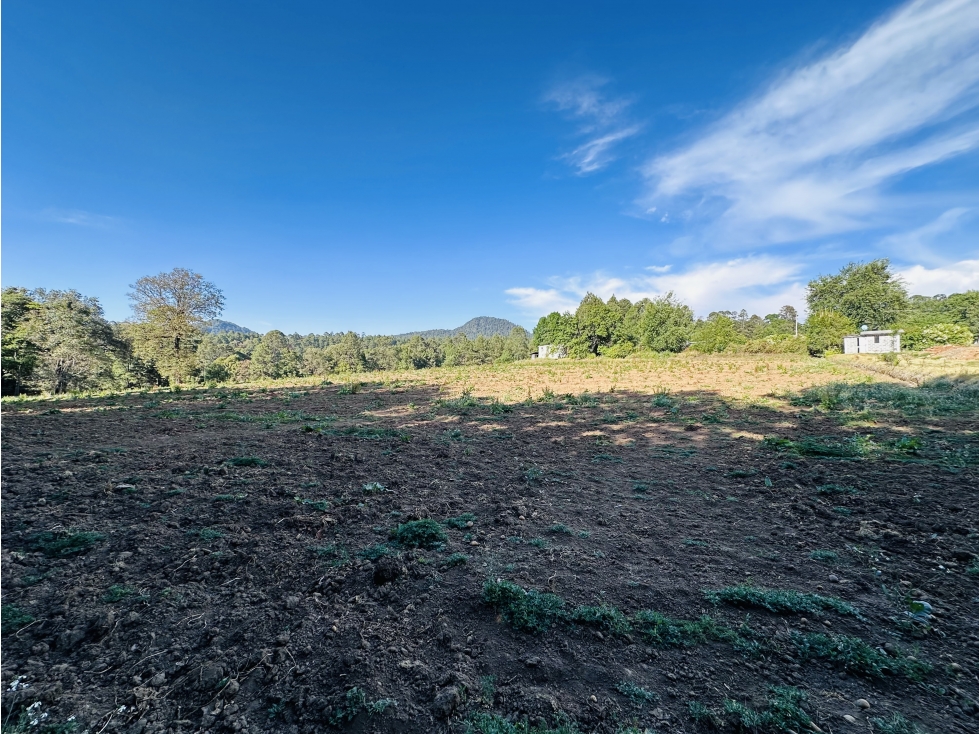 Terreno San Ramon 7 Hectareas — foto 6