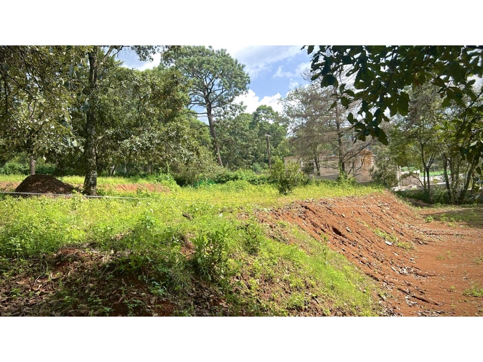 Terreno plano | Venta | Pinal de Avándaro. - 2