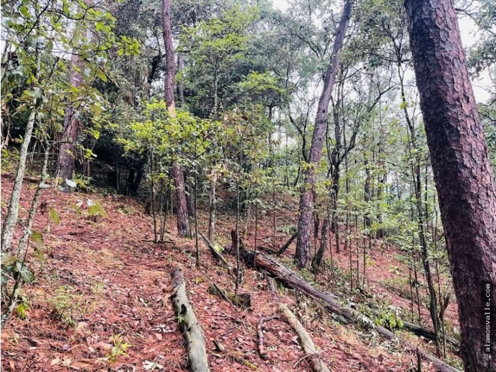 Terreno Avandaro. — foto 4