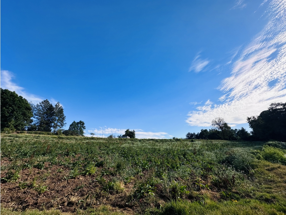 Terreno San Ramon 7 Hectareas