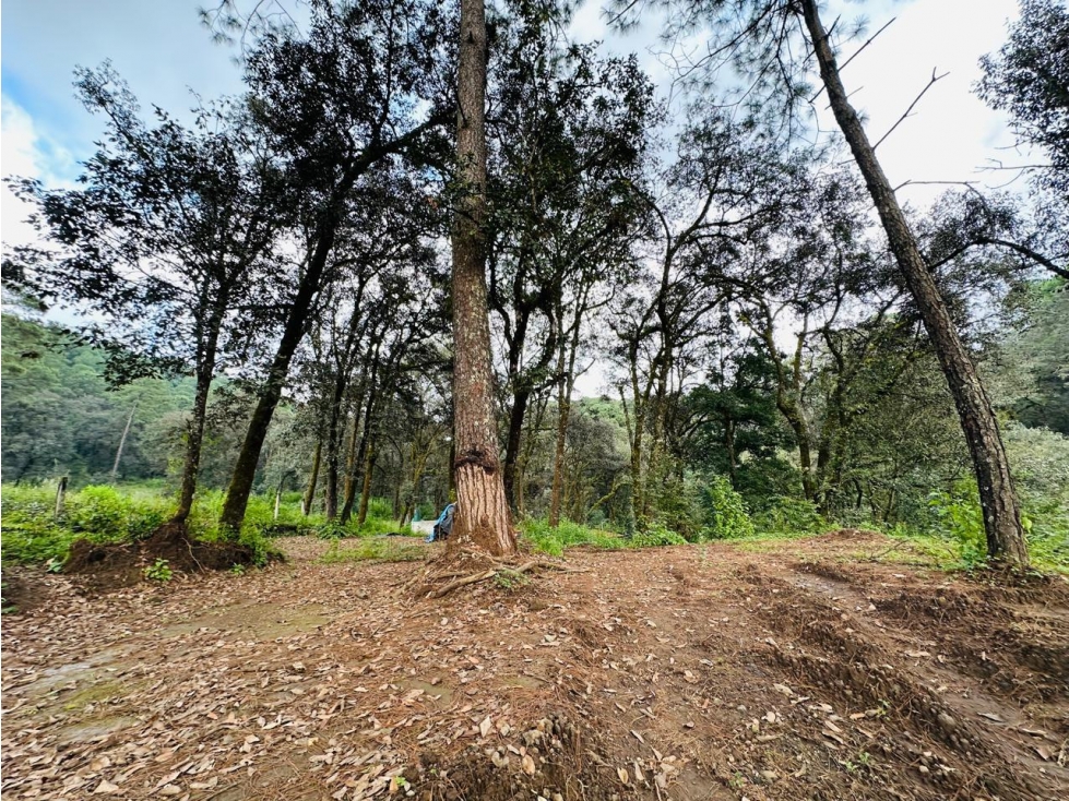 Terreno en venta, San Simón el alto. — foto 4