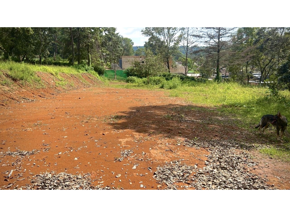 Terreno plano | Venta | Pinal de Avándaro. - 6