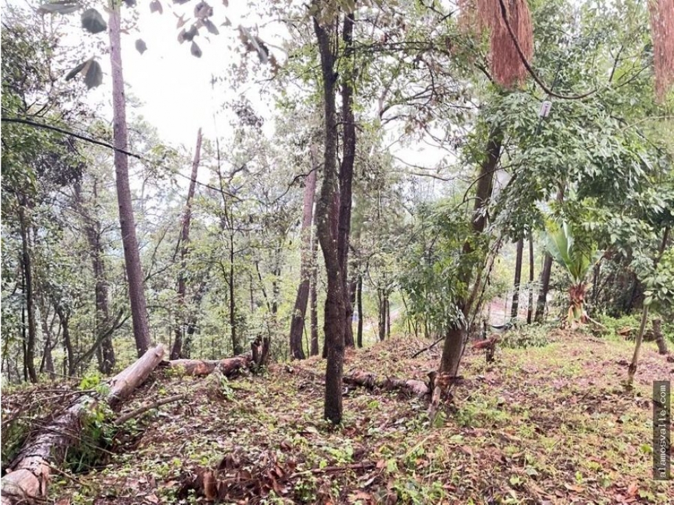 Terreno Avandaro. — foto 5