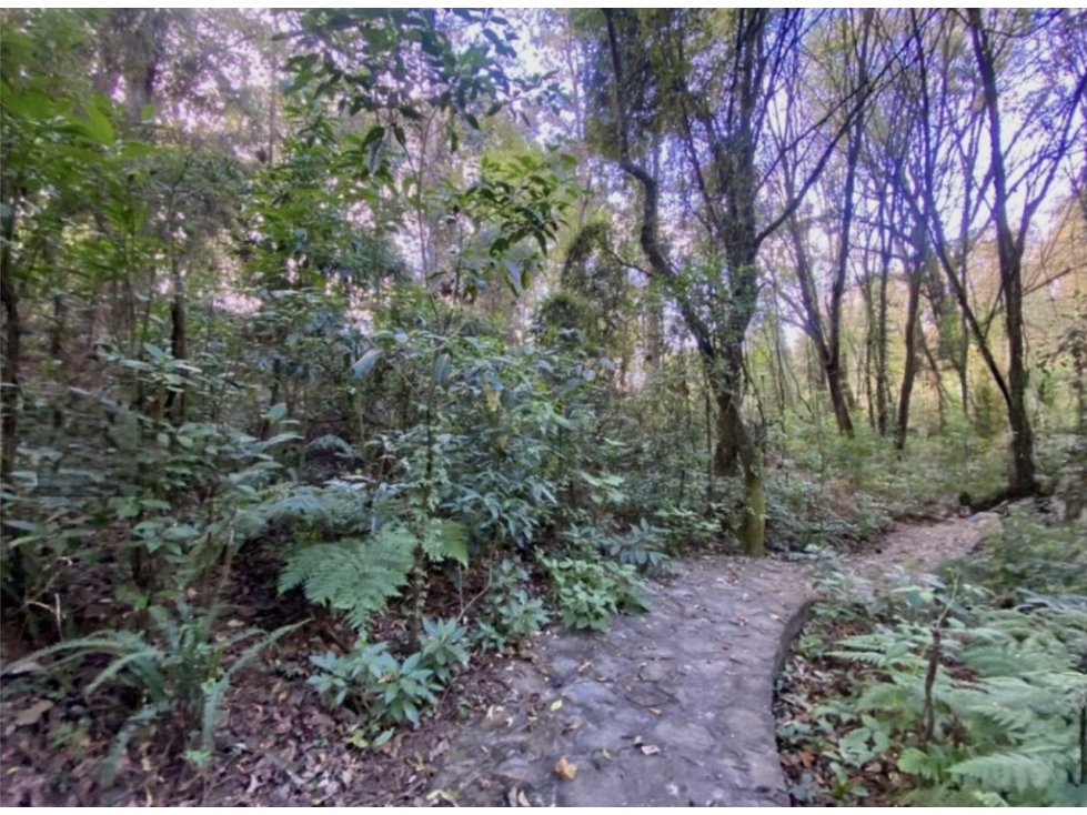 Terreno en venta | condominio | Peña Blanca. — foto 2