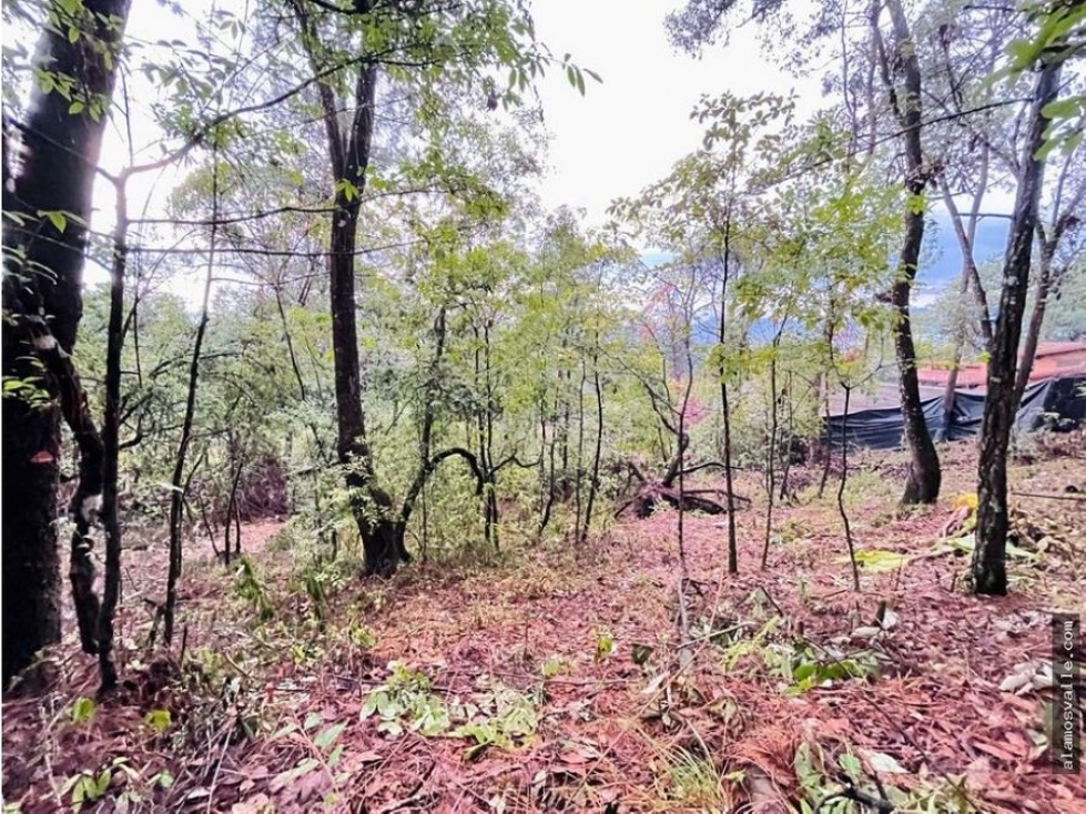Terreno Avandaro. — foto 6