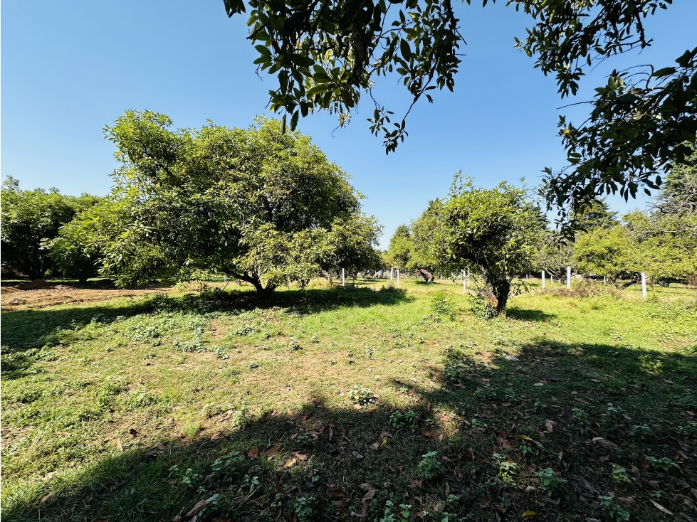 Terreno Casas Viejas Valle de Bravo — foto 3