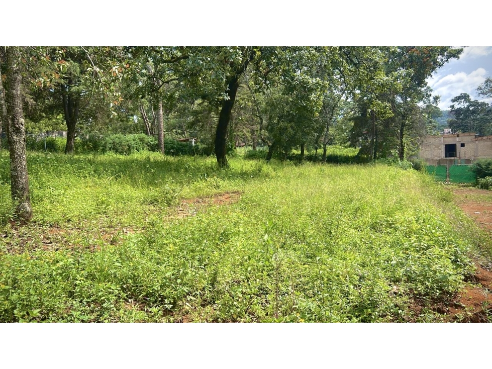 Terreno plano | Venta | Pinal de Avándaro. - 3