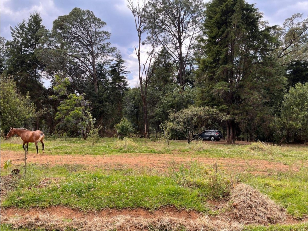 Terreno Valle de Bravo Mesa de Jaimes — foto 4