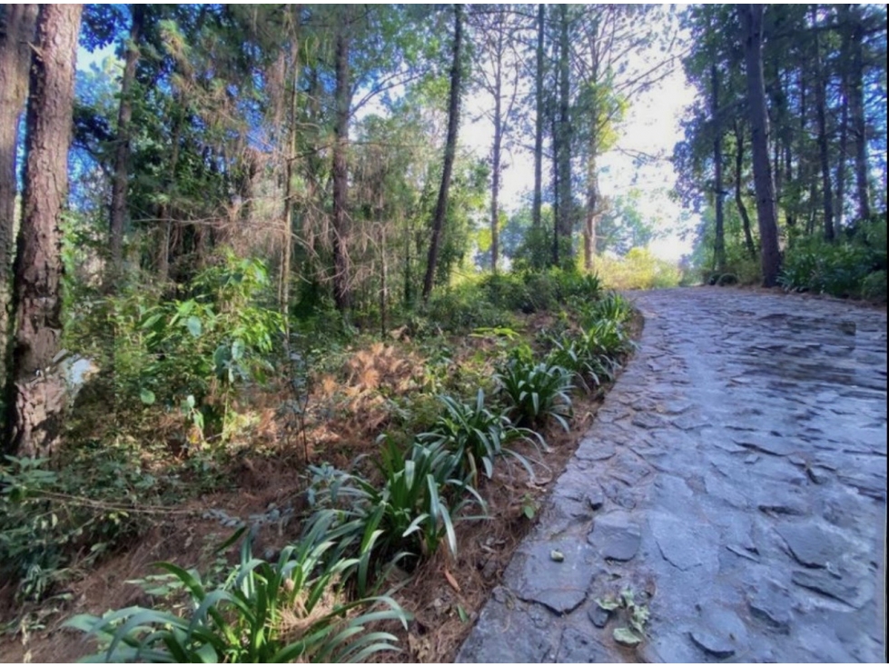 Terreno en venta | condominio | Peña Blanca. — foto 3