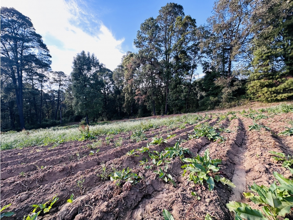 Terreno San Ramon 7 Hectareas — foto 5