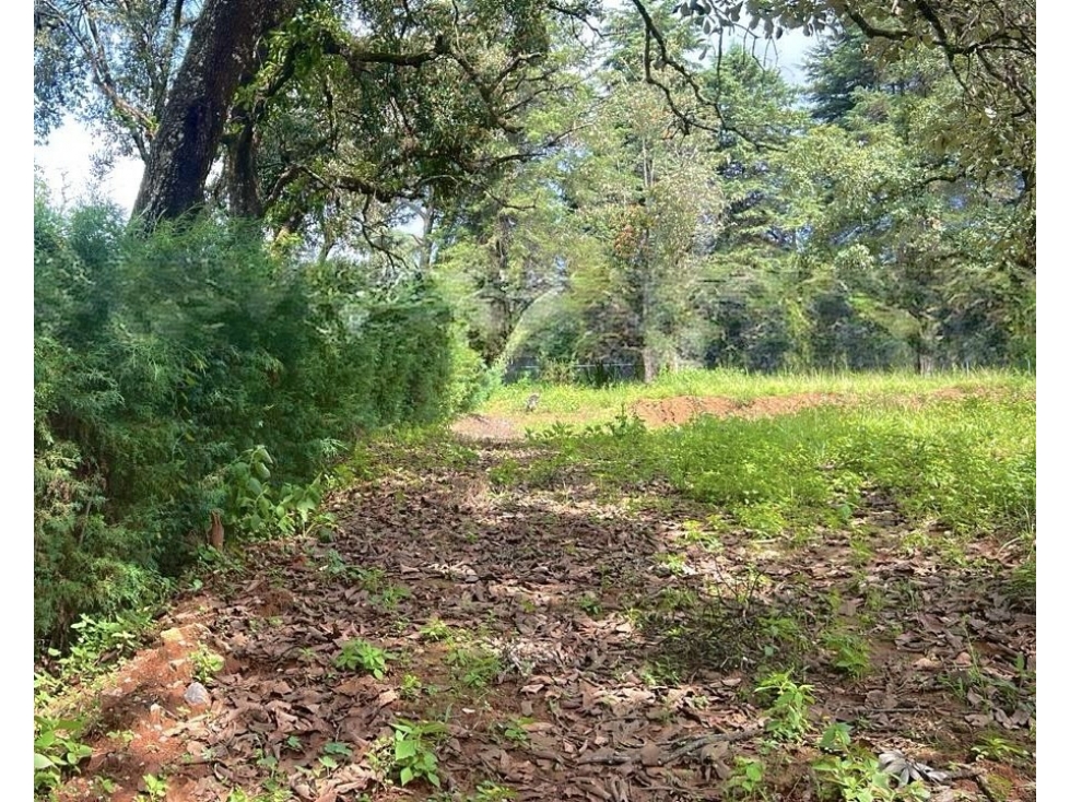 Terreno plano | Venta | Pinal de Avándaro. - 1