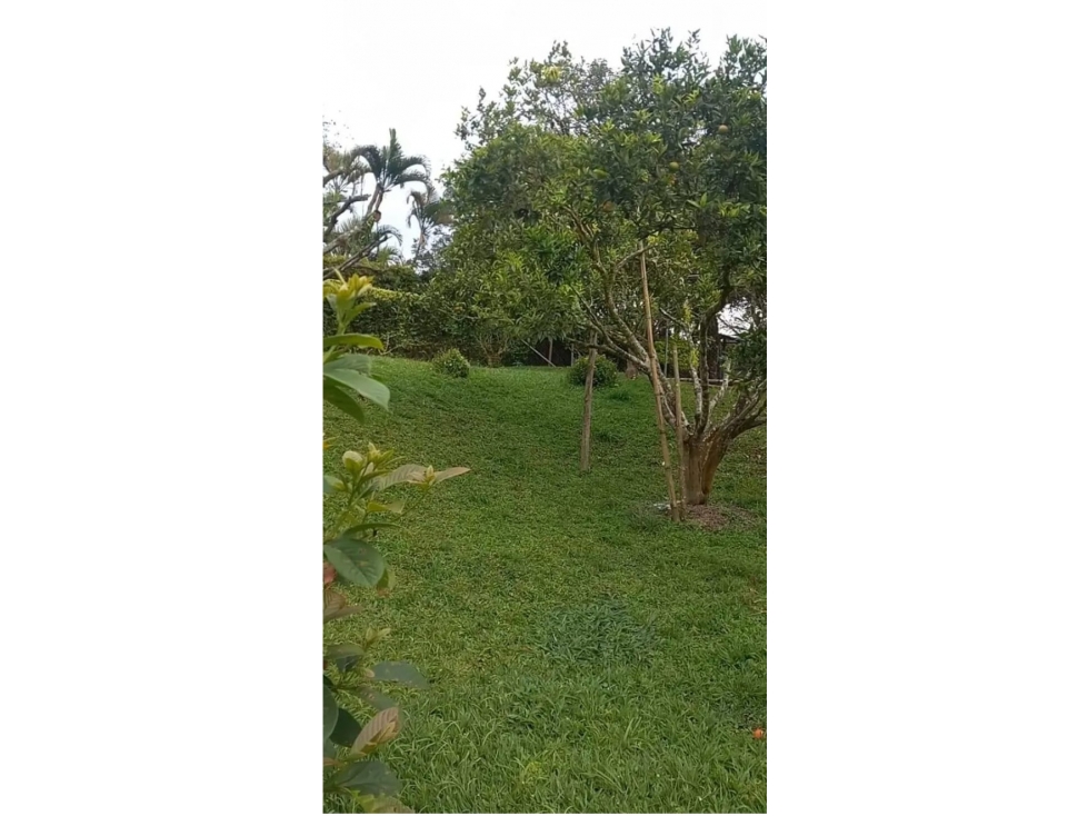 FINCA EN VENTA SANTA ROSA DE CABAL EL MANZANILLO — foto 4