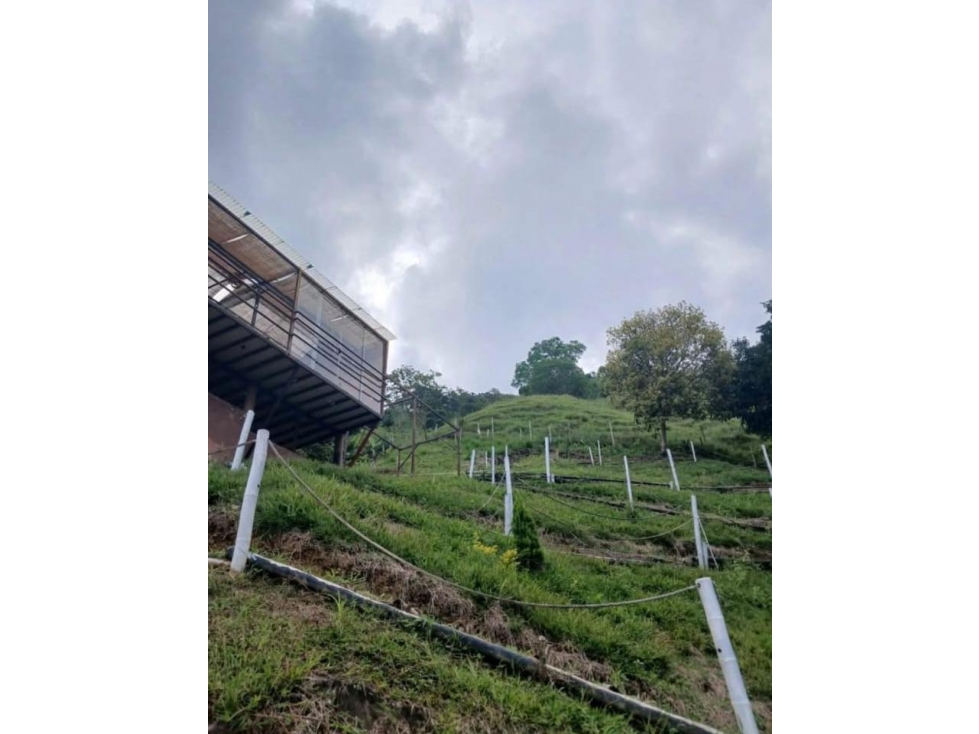 VENDO FINCA - 1