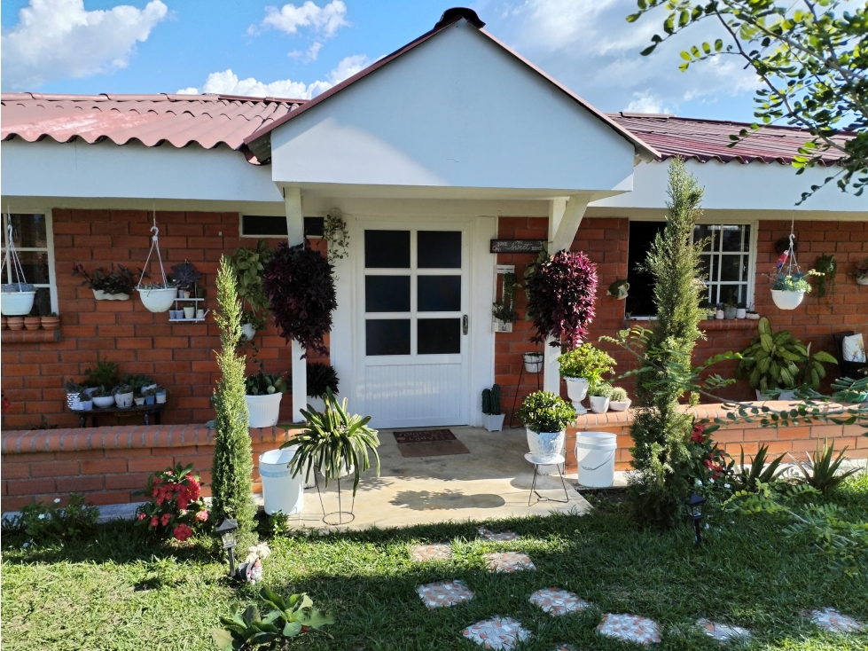 VENDO FINCA EN PEREIRA