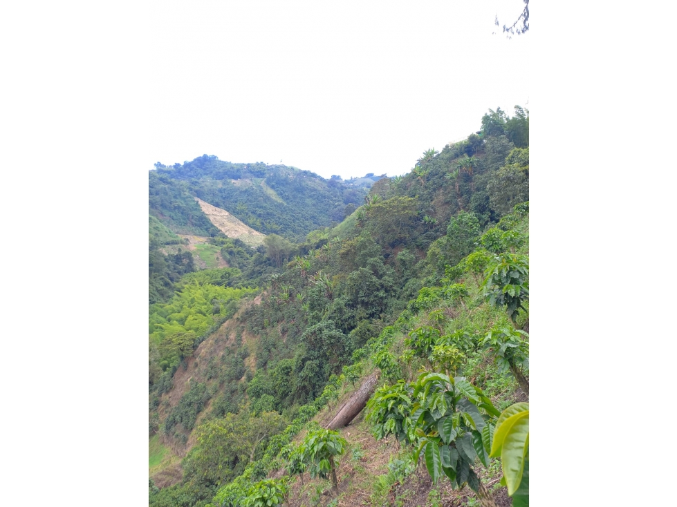 FINCA EN VENTA VIA CHINCHINA-VILLA MARIA — foto 2