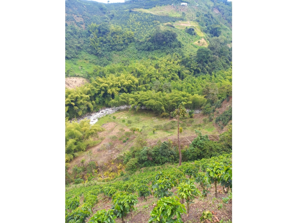 FINCA EN VENTA VIA CHINCHINA-VILLA MARIA