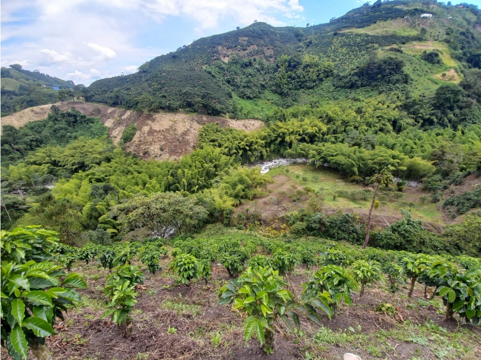 FINCA EN VENTA VIA CHINCHINA-VILLA MARIA — foto 3