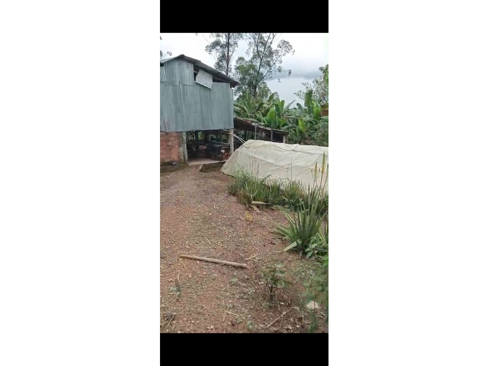 FINCA EN VENTA/BALBOA - 4