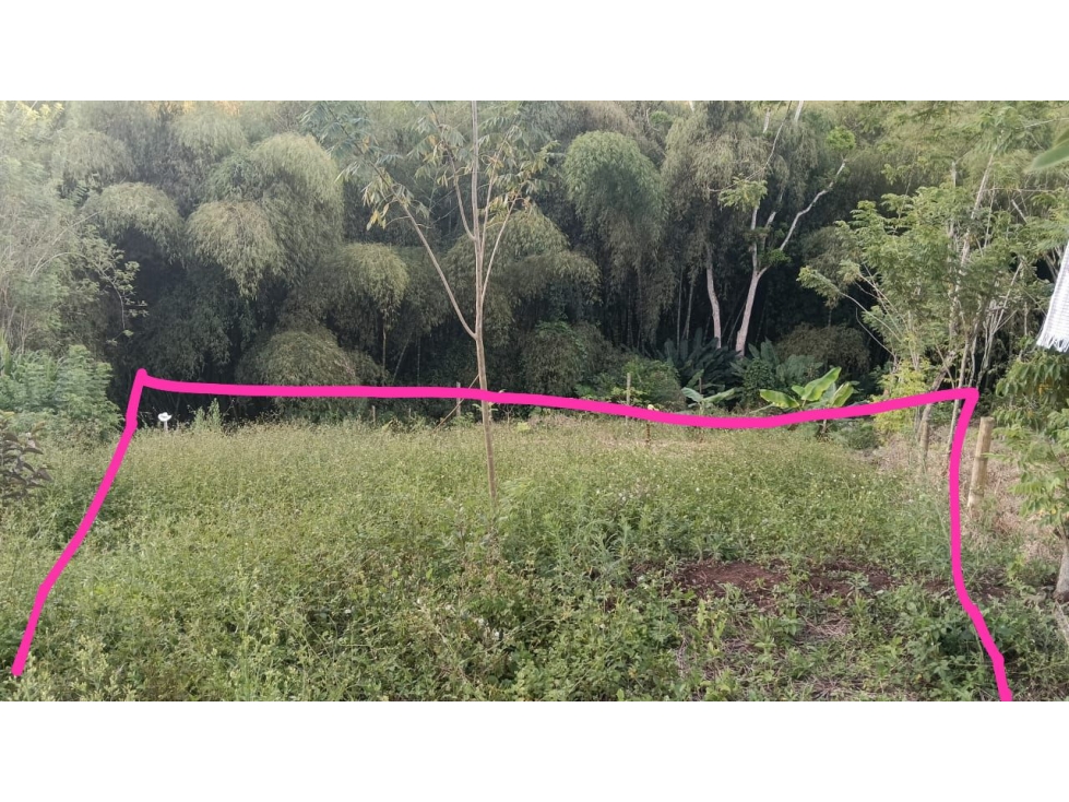 LOTE 1 EN VENTA-ALTAGRACIA-LA PALMILLA - 2