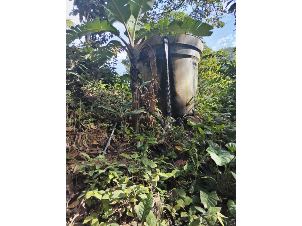 FINCA EN VENTA IBAGUE LA TEBAIDA VIA LA MINA — foto 5