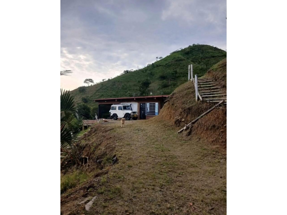 VENDO FINCA - 2