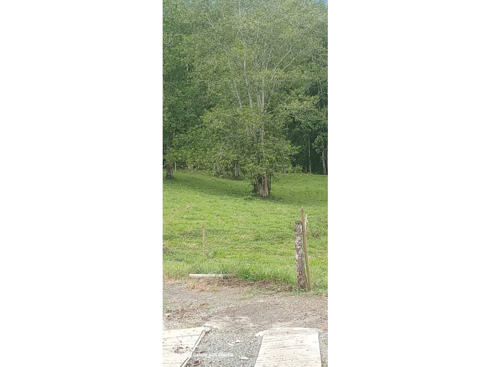 LOTE EN VITERBO - 2