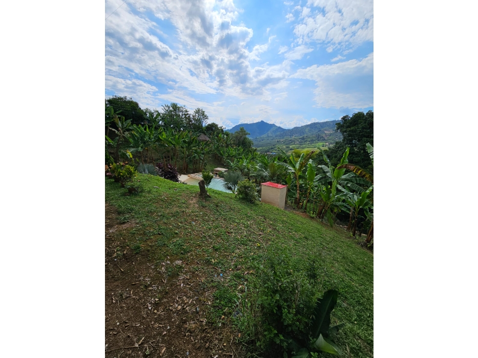 VENDO CASA CAMPESTRE EN PEREIRA-EL PITAL DE COMBIA — foto 5
