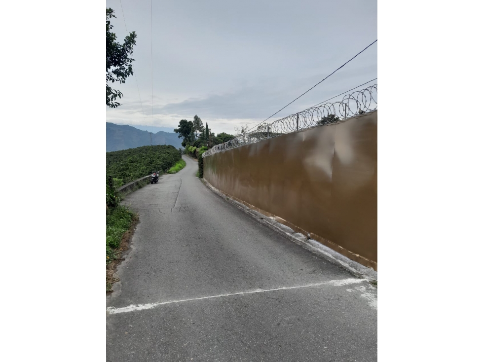 CASA CAMPESTRE-CHINCHINA-VEREDA ALTO DE LA PAZ — foto 4