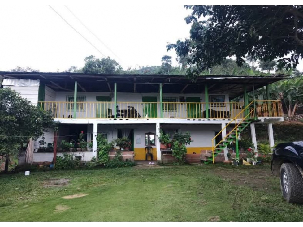 FINCA EN VENTA SAN JOSE-VITERBO CALDAS - 5