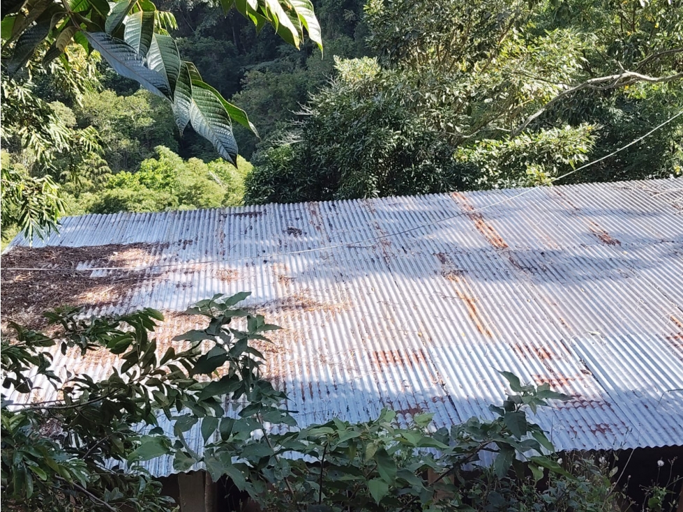 FINCA EN VENTA IBAGUE LA TEBAIDA VIA LA MINA — foto 6