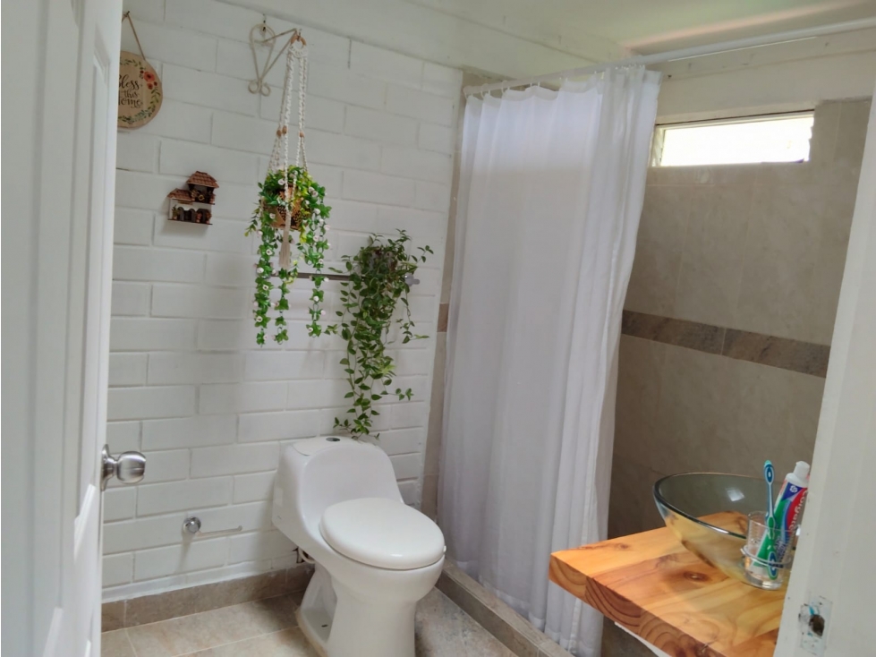 VENDO FINCA EN PEREIRA — foto 3