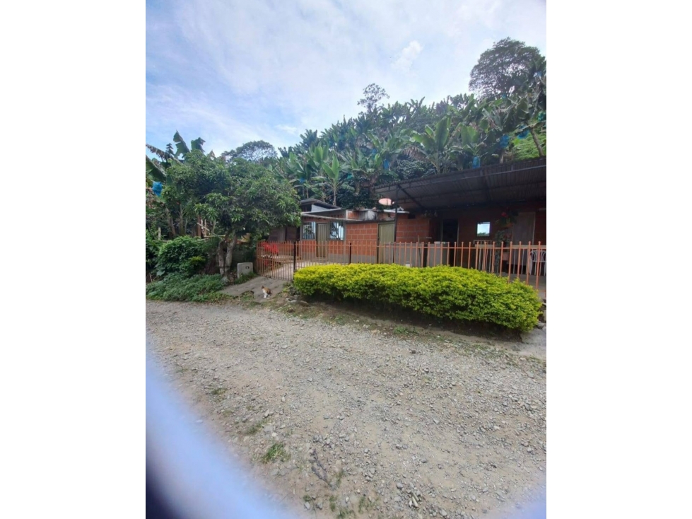 FINCA EN VENTA ANSERMA CALDAS - 4