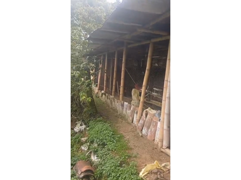 FINCA EN VENTA SANTA ROSA DE CABAL GUAIMARAL — foto 6