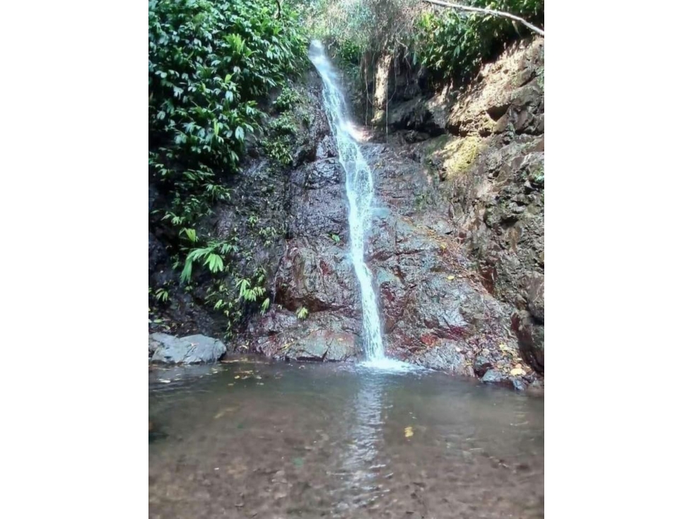 VENDO FINCA - 4