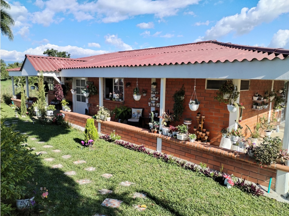 VENDO FINCA EN PEREIRA — foto 4