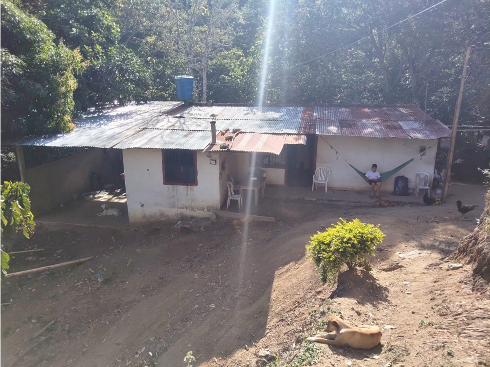 FINCA EN VENTA IBAGUE LA TEBAIDA VIA LA MINA